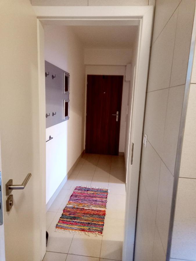 Apartmany Za Sneznikem Долни-Морава Экстерьер фото