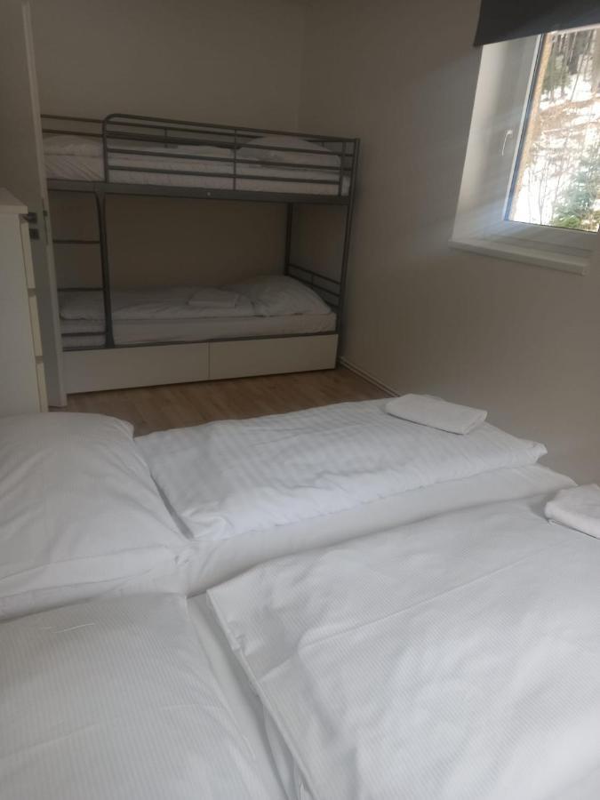 Apartmany Za Sneznikem Долни-Морава Экстерьер фото