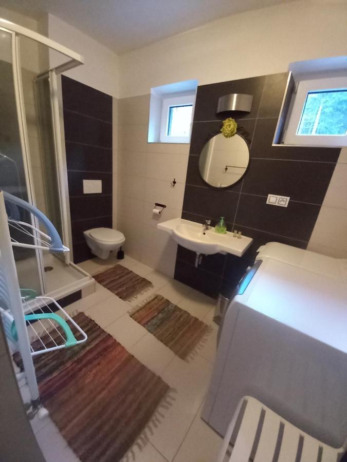 Apartmany Za Sneznikem Долни-Морава Экстерьер фото