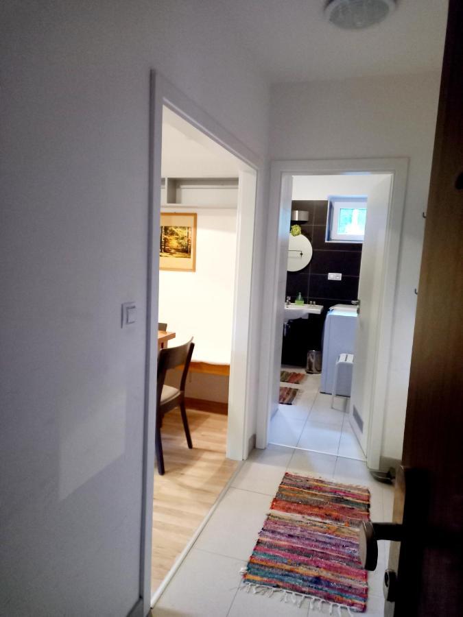 Apartmany Za Sneznikem Долни-Морава Экстерьер фото